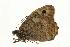  ( - VNLEP00093)  @13 [ ] Unspecified (default): All Rights Reserved  Unspecified Unspecified