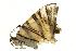  ( - VNLEP00127)  @12 [ ] Unspecified (default): All Rights Reserved  Unspecified Unspecified