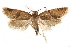  ( - CCDB-28543-D12)  @14 [ ] CreativeCommons - Attribution (2015) CBG Photography Group Centre for Biodiversity Genomics