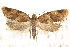  ( - CCDB-28543-E04)  @14 [ ] CreativeCommons - Attribution (2015) CBG Photography Group Centre for Biodiversity Genomics
