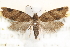  ( - CCDB-28543-E05)  @14 [ ] CreativeCommons - Attribution (2015) CBG Photography Group Centre for Biodiversity Genomics