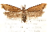  ( - CCDB-28544-A12)  @12 [ ] CreativeCommons - Attribution (2015) CBG Photography Group Centre for Biodiversity Genomics