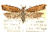  ( - CCDB-28544-B02)  @12 [ ] CreativeCommons - Attribution (2015) CBG Photography Group Centre for Biodiversity Genomics