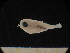  ( - MFLSCH738-E04)  @11 [ ] CreativeCommons  Attribution Non-Commercial Share-Alike (2019) Jose Angel Cohuo El Colegio de la Frontera Sur