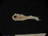  ( - MFLSCH738-F08)  @11 [ ] CreativeCommons  Attribution Non-Commercial Share-Alike (2019) Jose Angel Cohuo El Colegio de la Frontera Sur