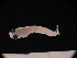  ( - MFLSCH738-G02)  @11 [ ] CreativeCommons  Attribution Non-Commercial Share-Alike (2019) Jose Angel Cohuo El Colegio de la Frontera Sur