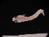  ( - MFLSCH738-G02)  @11 [ ] CreativeCommons  Attribution Non-Commercial Share-Alike (2019) Jose Angel Cohuo El Colegio de la Frontera Sur
