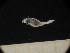  ( - MFLSCH738-H07)  @11 [ ] CreativeCommons  Attribution Non-Commercial Share-Alike (2019) Jose Angel Cohuo El Colegio de la Frontera Sur