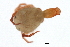  ( - CNC-IMS090088.001)  @13 [ ] CreativeCommons - Attribution (2009) Unspecified Centre for Biodiversity Genomics
