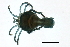  ( - CNC-IMS090088.009)  @14 [ ] CreativeCommons - Attribution (2009) Unspecified Centre for Biodiversity Genomics