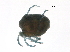  ( - CNC-IMS090088.016)  @14 [ ] CreativeCommons - Attribution (2009) Unspecified Centre for Biodiversity Genomics