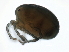  ( - CNC-IMS090088.018)  @14 [ ] CreativeCommons - Attribution (2009) Unspecified Centre for Biodiversity Genomics