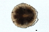  ( - CNC-IMS090088.067)  @13 [ ] CreativeCommons - Attribution (2009) Unspecified Centre for Biodiversity Genomics