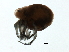  ( - CNC-IMS090088.069)  @13 [ ] CreativeCommons - Attribution (2009) Unspecified Centre for Biodiversity Genomics
