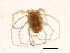  ( - CNC-IMS090088.081)  @12 [ ] CreativeCommons - Attribution (2009) Unspecified Centre for Biodiversity Genomics