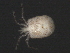  ( - CNC-IMS090093.011)  @13 [ ] CreativeCommons - Attribution (2010) Unspecified Centre for Biodiversity Genomics