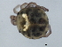  ( - CNC-IMS090093.022)  @13 [ ] CreativeCommons - Attribution (2010) Unspecified Centre for Biodiversity Genomics