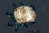  ( - CNC-IMS090088.117)  @11 [ ] CreativeCommons - Attribution (2010) Unspecified Centre for Biodiversity Genomics