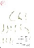  ( - VA21426)  @11 [ ] CreativeCommons - Attribution (2017) Icelandic Institute of Natural History Icelandic Istitute of Natunal History