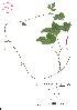  ( - VA21479)  @11 [ ] CreativeCommons - Attribution (2017) Icelandic Institute of Natural History Icelandic Istitute of Natunal History