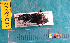  ( - NEONcarabid8222)  @13 [ ] Copyright (2010) National Ecological Observatory Network, Inc. National Ecological Observatory Network (NEON) http://www.neoninc.org/content/copyright