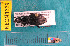  ( - NEONcarabid8229)  @13 [ ] Copyright (2010) National Ecological Observatory Network, Inc. National Ecological Observatory Network (NEON) http://www.neoninc.org/content/copyright