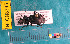  ( - NEONcarabid8245)  @13 [ ] Copyright (2010) National Ecological Observatory Network, Inc. National Ecological Observatory Network (NEON) http://www.neoninc.org/content/copyright