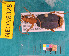  ( - NEONcarabid8328)  @14 [ ] Copyright (2010) National Ecological Observatory Network, Inc. National Ecological Observatory Network (NEON) http://www.neoninc.org/content/copyright