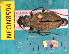  ( - NEONcarabid8594)  @13 [ ] Copyright (2010) National Ecological Observatory Network, Inc. National Ecological Observatory Network (NEON) http://www.neoninc.org/content/copyright
