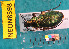  ( - NEONcarabid8598)  @13 [ ] Copyright (2010) National Ecological Observatory Network, Inc. National Ecological Observatory Network (NEON) http://www.neoninc.org/content/copyright