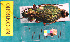  ( - NEONcarabid8600)  @13 [ ] Copyright (2010) National Ecological Observatory Network, Inc. National Ecological Observatory Network (NEON) http://www.neoninc.org/content/copyright