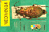  ( - NEONcarabid8614)  @14 [ ] Copyright (2010) National Ecological Observatory Network, Inc. National Ecological Observatory Network (NEON) http://www.neoninc.org/content/copyright