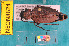  ( - NEONcarabid8624)  @13 [ ] Copyright (2010) National Ecological Observatory Network, Inc. National Ecological Observatory Network (NEON) http://www.neoninc.org/content/copyright