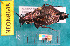  ( - NEONcarabid8648)  @13 [ ] Copyright (2010) National Ecological Observatory Network, Inc. National Ecological Observatory Network (NEON) http://www.neoninc.org/content/copyright