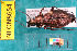  ( - NEONcarabid8654)  @14 [ ] Copyright (2010) National Ecological Observatory Network, Inc. National Ecological Observatory Network (NEON) http://www.neoninc.org/content/copyright
