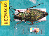  ( - NEONcarabid8660)  @14 [ ] Copyright (2010) National Ecological Observatory Network, Inc. National Ecological Observatory Network (NEON) http://www.neoninc.org/content/copyright