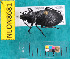  ( - NEONcarabid8681)  @14 [ ] Copyright (2010) National Ecological Observatory Network, Inc. National Ecological Observatory Network (NEON) http://www.neoninc.org/content/copyright