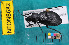  ( - NEONcarabid8682)  @13 [ ] Copyright (2010) National Ecological Observatory Network, Inc. National Ecological Observatory Network (NEON) http://www.neoninc.org/content/copyright