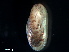  ( - B01-SLNL2)  @11 [ ] Copyright (2019) Fiona MacKay Oceanographic Research Institute
