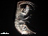  ( - B22-RAT1b)  @11 [ ] Copyright (2019) Fiona MacKay Oceanographic Research Institute