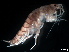  ( - B23-MLMb)  @11 [ ] Copyright (2019) Fiona MacKay Oceanographic Research Institute