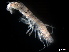  ( - B26-I)  @11 [ ] Copyright (2019) Fiona MacKay Oceanographic Research Institute
