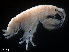  ( - B45-MPU)  @11 [ ] Copyright (2019) Fiona MacKay Oceanographic Research Institute