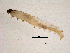  ( - CCDB-10308-H11)  @12 [ ] CreativeCommons - Attribution (2013) Andrew J. Frewin Centre for Biodiversity Genomics