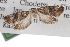  ( - CCDB-20276-D06)  @12 [ ] CreativeCommons - Attribution (2013) Andrew J. Frewin Centre for Biodiversity Genomics