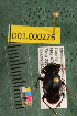  ( - NEON.BET.D01.000226)  @14 [ ] Copyright (2013) Cory Ritz National Ecological Observatory Network (NEON) http://www.neoninc.org/content/copyright