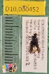  ( - NEON.BET.D10.000452)  @12 [ ] Copyright (2010) National Ecological Observatory Network, Inc. National Ecological Observatory Network (NEON) http://www.neoninc.org/content/copyright