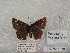  ( - WI-JAG-1070)  @11 [ ] No Rights Reserved (2014) Julio A. Genaro Unspecified