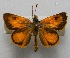  ( - WI-JAG-623)  @13 [ ] No Rights Reserved  Julio A Genaro Caribbean Natural History Group