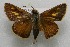  ( - WI-JAG-662)  @12 [ ] No Rights Reserved  Julio A Genaro Caribbean Natural History Group